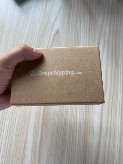 BSdropshipping shipping sourcing agent