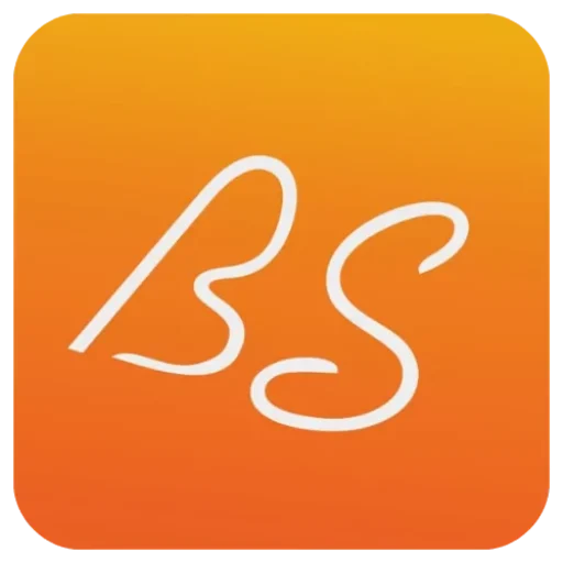 BSdropshippping logo